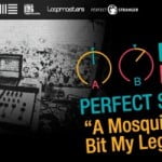 Perfect Stranger Remix Album – A Mosquito Bit My Leg