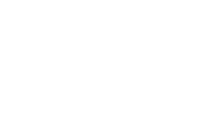 מוסד AAAP, התוכנית האקדמית של ADAM Audio