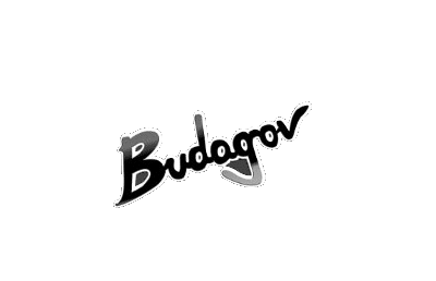 Budagov – הטבות והנחות לסטודנטים של BPM בבודגוב