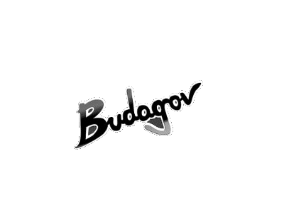 Budagov – הטבות והנחות לסטודנטים של BPM בבודגוב